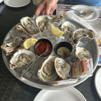 Skye Bar & Grille - Oysters - Bars Near Me - Ocean City, Maryland Skye Bar & Grille - Oysters - Bars Near Me - Ocean City, Maryland