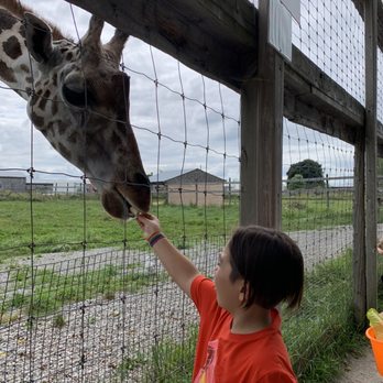 Elmvale Jungle Zoo - Zoos Near Me - Elmvale, Ontario