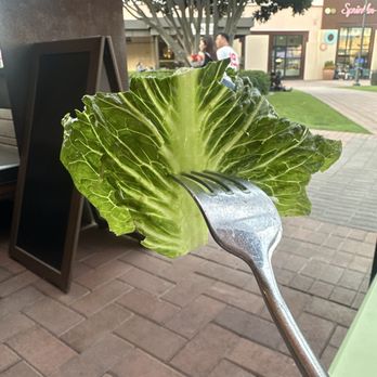 Tender Greens - Salad Near Me - Irvine, California Tender Greens - Salad Near Me - Irvine, California
