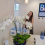 Blu Cocoon Medspa