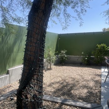 Horizon Shine - Perfect placement for bird fountain! - Coffee & Tea Near Me - Henderson, Nevada
