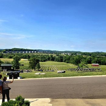 Arrington Vineyards - Wine Tasting Room Near Me - Arrington, Tennessee
