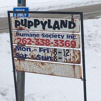 Puppyland Humane Society - Animal Shelters Near Me - West Bend, Wisconsin Puppyland Humane Society - Animal Shelters Near Me - West Bend, Wisconsin