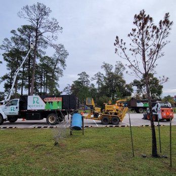 Rothco Tree Service - Tree Services Near Me Rothco Tree Service - Tree Services Near Me