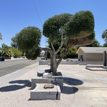 Sagos Landscape Tree Service - Ta Dah! - Landscaping Near Me - North Las Vegas, Nevada Sagos Landscape Tree Service - Ta Dah! - Landscaping Near Me - North Las Vegas, Nevada