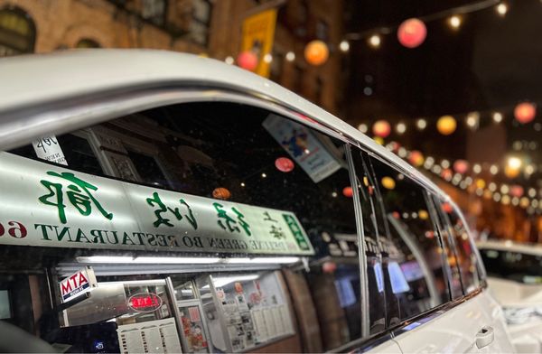 Deluxe Green Bo by null