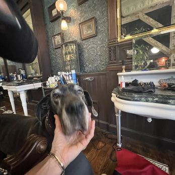 Ludlow Blunt - Owner's sweet dog Po - Hair Salons Near Me - Brooklyn, New York Ludlow Blunt - Owner's sweet dog Po - Hair Salons Near Me - Brooklyn, New York