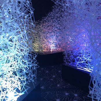 WNDR Museum - Art Museums Near Me - Chicago, Illinois