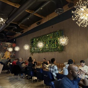 Dodo Bird Kitchen and Cocktails - Dining area - Cocktail Bars Near Me - Scottsdale, Arizona