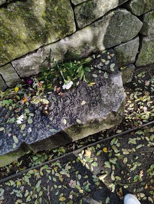 Salem Witch Trials Memorial by null