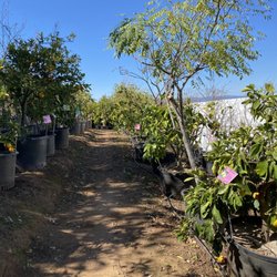 Rainbow Valley Nursery