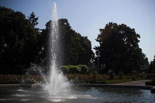 Peninsula Park Rose Garden by null