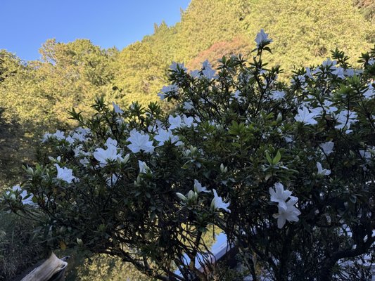 Chiayi County, Taiwan 605 by null