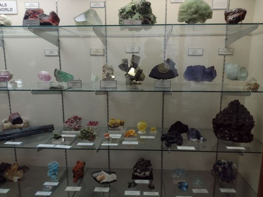 World Museum of Natural History by null