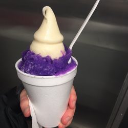 Jenny's Sno Cones & Wow Food - Orchid supreme sno cone w homemade soft serve