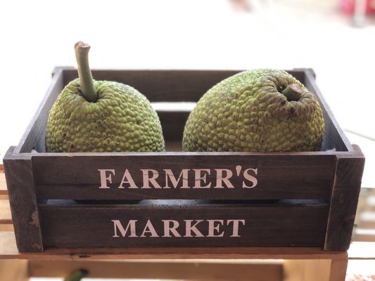 Viejo San Juan Farmers Market by null