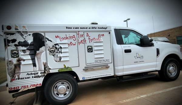 WICHITA FALLS ANIMAL SERVICES - Updated October 2024 - 15 Photos - 1207
