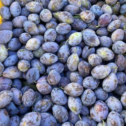 Moholt Fresh Produce