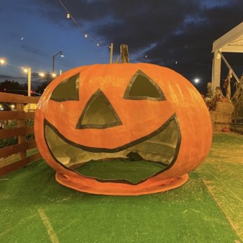 Mr Jack O' Lanterns Pumpkins - Christmas Trees Near Me - Brea, California Mr Jack O' Lanterns Pumpkins - Christmas Trees Near Me - Brea, California