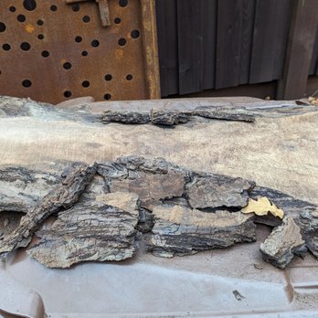 Maverick Sawmill Services - Black walnut slab, just knocked off bark to expose Live Edge. Excellent selection of slabs, huge and small like this for my shelf. - Furniture Stores Near Me - Newberg, Oregon Maverick Sawmill Services - Black walnut slab, just knocked off bark to expose Live Edge. Excellent selection of slabs, huge and small like this for my shelf. - Furniture Stores Near Me - Newberg, Oregon