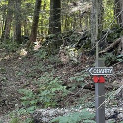 Mianus River Gorge