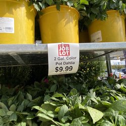 Ocean State Job Lot - Fall flowers