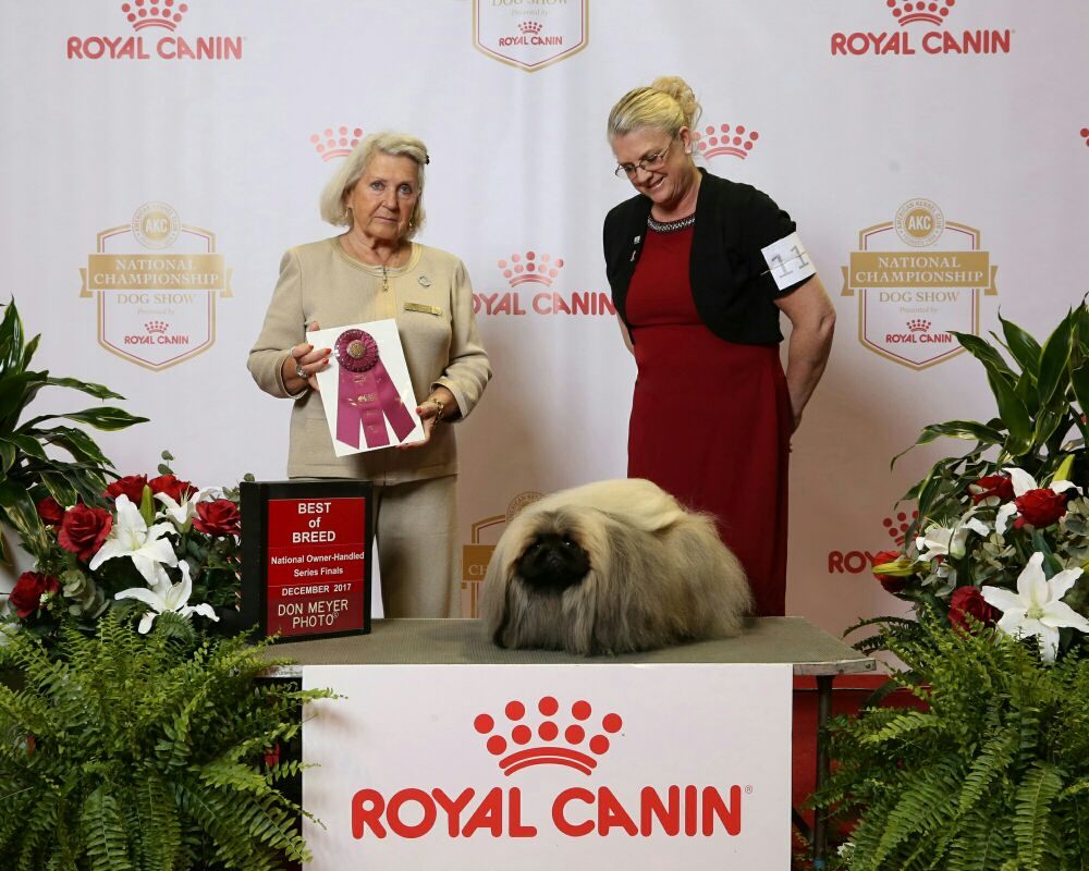 BEST IN SHOW Updated September 2024 45 Photos & 10 Reviews Grass