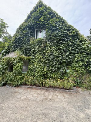 Milner Gardens & Woodland - Vancouver Island University by null