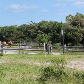 Assateague State Park - Parks Near Me - Berlin, Maryland