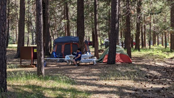 Wawona Campground by null