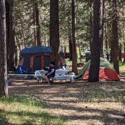 Wawona Campground - Loop C site 87