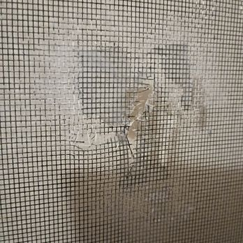 Roto-Rooter Plumbing & Water Cleanup - Fiberglass damage from wood for canopy leaning against my window - Plumbing Near Me - Chicago, Illinois Roto-Rooter Plumbing & Water Cleanup - Fiberglass damage from wood for canopy leaning against my window - Plumbing Near Me - Chicago, Illinois
