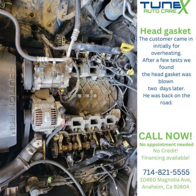 Engine Work - Here at TuneX we shy away from no job. Our experienced technicians can do heavy diagnostics, seal up any oil leaks, and even engine rebuilds and replacements. Engine Work - Here at TuneX we shy away from no job. Our experienced technicians can do heavy diagnostics, seal up any oil leaks, and even engine rebuilds and replacements.