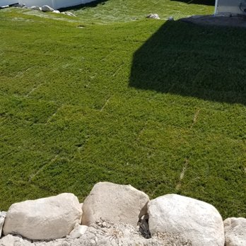 Gaytans Landscape & Tree services - Grass and Fence Installation - Landscaping Near Me Gaytans Landscape & Tree services - Grass and Fence Installation - Landscaping Near Me