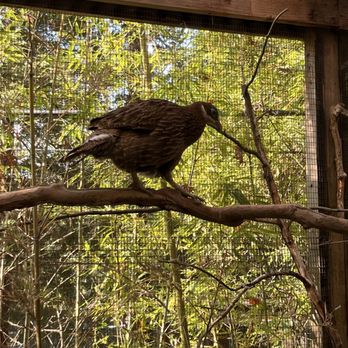 Sac Zoo - Kevin! - Zoos Near Me - Sacramento, California Sac Zoo - Kevin! - Zoos Near Me - Sacramento, California