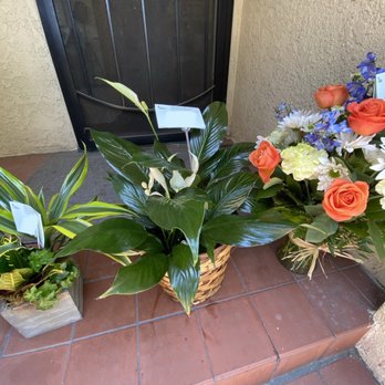 Conroy's Flowers - Florists Near Me - Long Beach, California