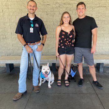 Lorenzo's Dog Training Team - Pet Training Near Me Lorenzo's Dog Training Team - Pet Training Near Me