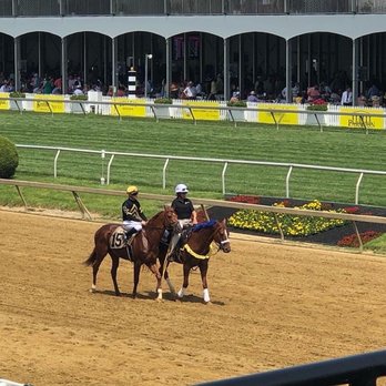 Pimlico Race Course - Black Eyed Susan Day - Stadiums & Arenas Near Me - Baltimore, Maryland