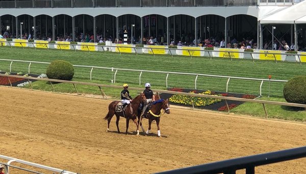 Pimlico Race Course by null