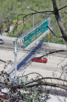 Presidio Park by null