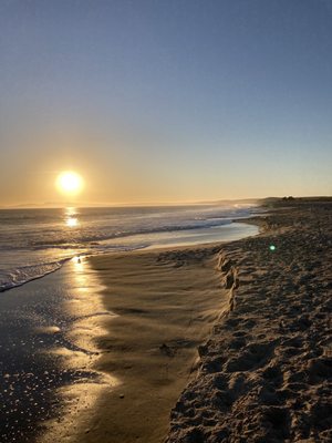 Limantour Beach by null