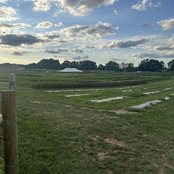 Bloom Hill Farm - Attraction Farms Near Me - Uniontown, Ohio