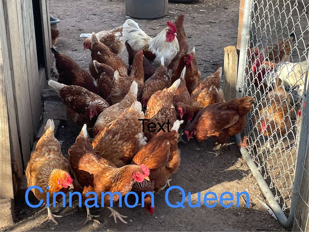 Bigfoot Hatchery and Nursery - beekeeping in Bigfoot, TX