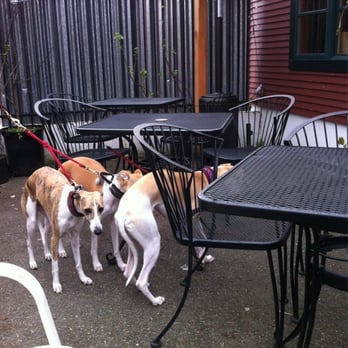 Hotwire Coffeehouse - Dog friendly - Coffee & Tea Near Me - Seattle, Washington
