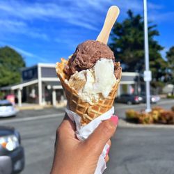 Bruster's Real Ice Cream - Small waffle Dark Chocolate Graham Crunch New York Cheesecake