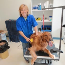Happy Tails Pet Grooming & Boarding - Owner Diana Schmidt grooming a customer.