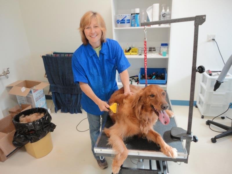 HAPPY TAILS PET GROOMING 10 Reviews N7894 State Hwy 42, Sheboygan