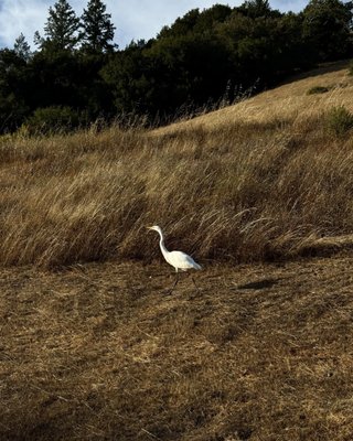 Spirit Rock Meditation Center by null