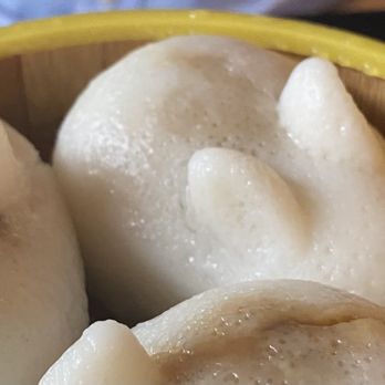 Jade Rabbit - And the bunny dim sum! - Vegan Near Me - Portland, Oregon Jade Rabbit - And the bunny dim sum! - Vegan Near Me - Portland, Oregon