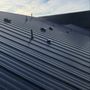 Roof Guardian